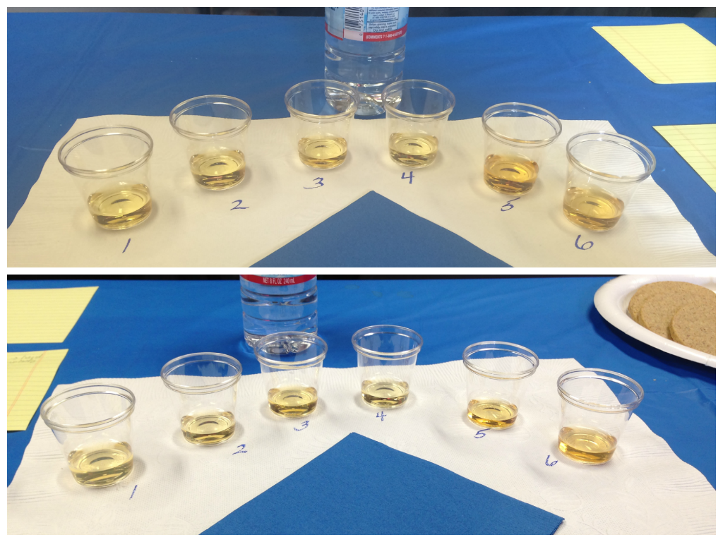 Whisky tasting, before